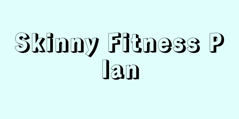 Skinny Fitness Plan