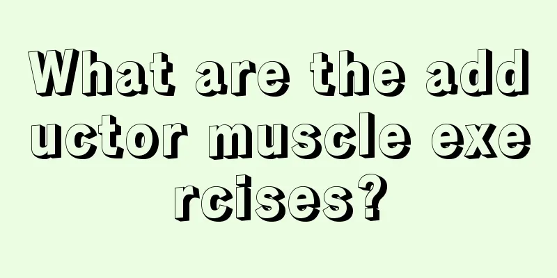 What are the adductor muscle exercises?