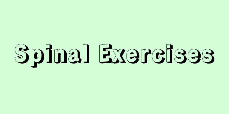 Spinal Exercises