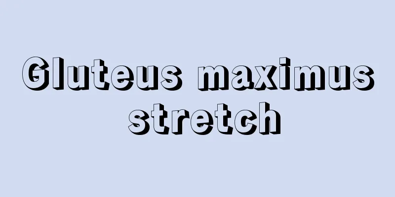 Gluteus maximus stretch