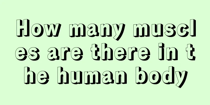 How many muscles are there in the human body