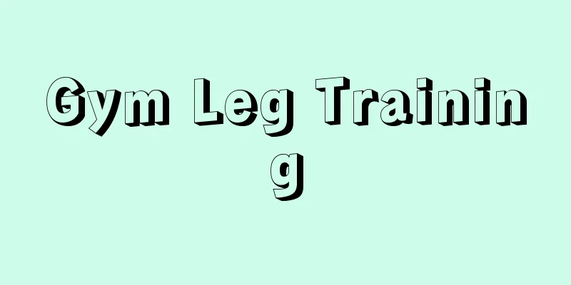 Gym Leg Training