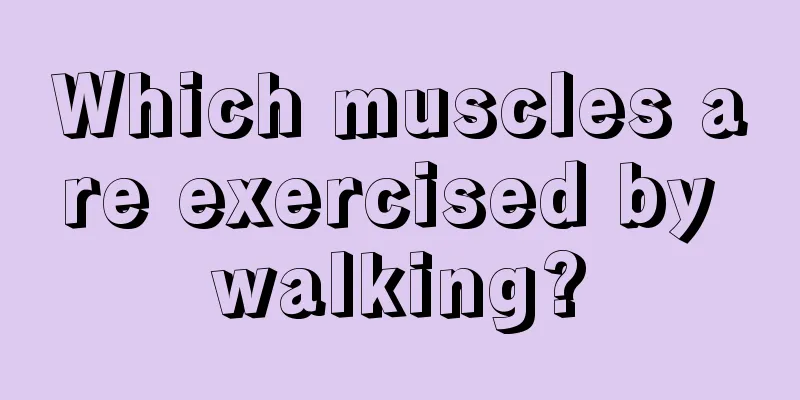 Which muscles are exercised by walking?