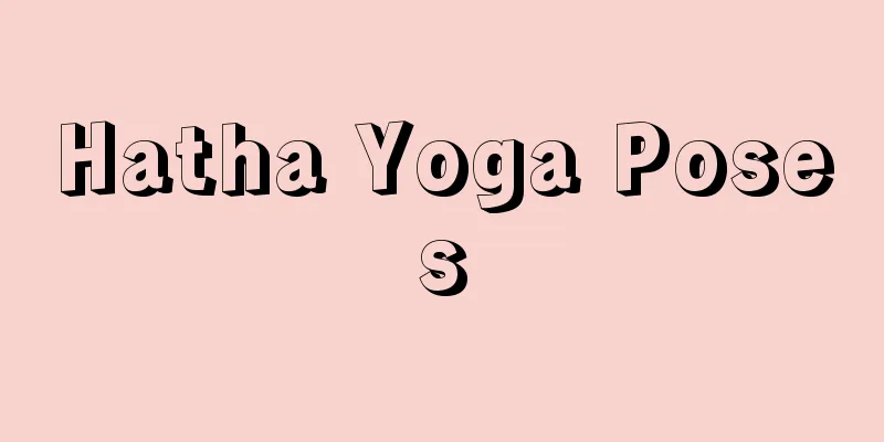 Hatha Yoga Poses