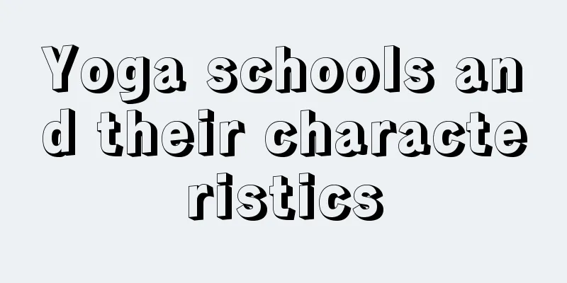 Yoga schools and their characteristics