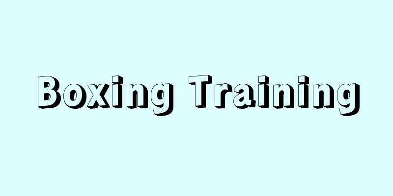 Boxing Training