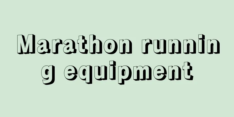 Marathon running equipment