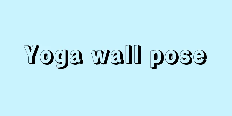 Yoga wall pose