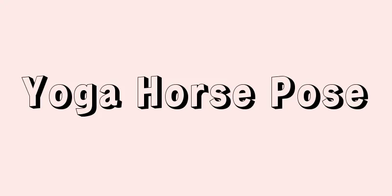 Yoga Horse Pose