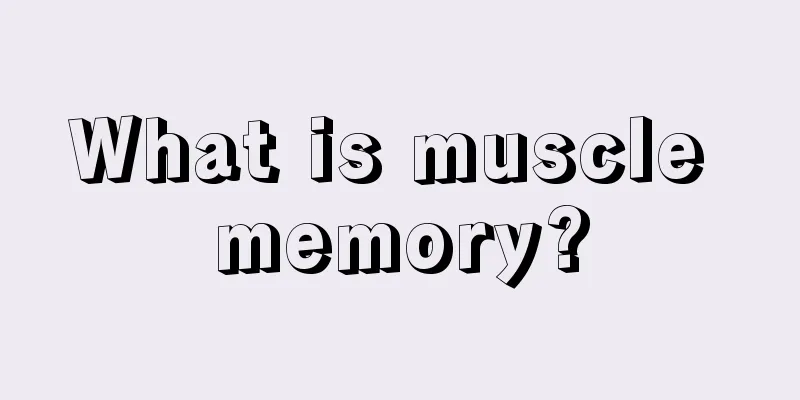 What is muscle memory?