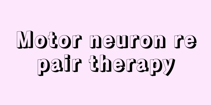 Motor neuron repair therapy