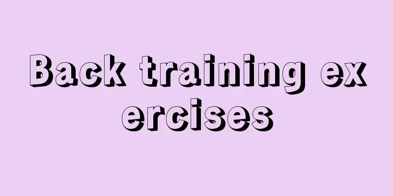 Back training exercises