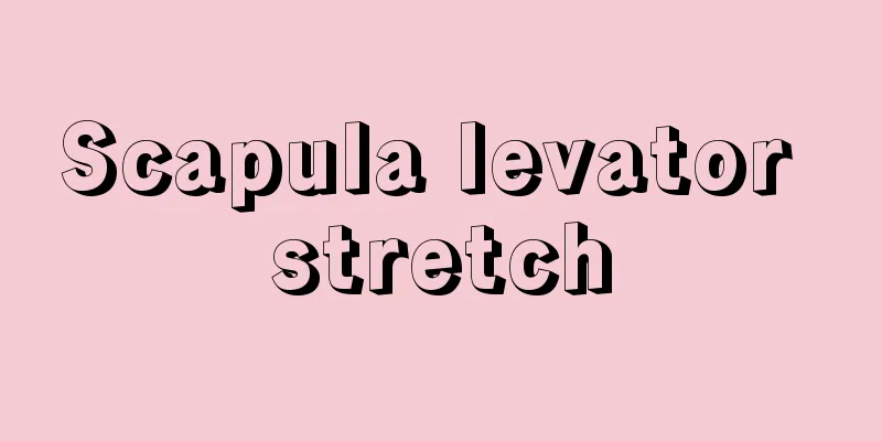 Scapula levator stretch