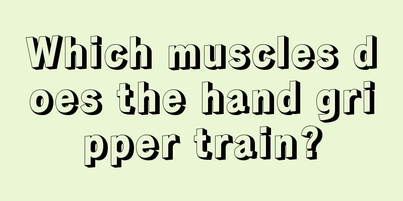 Which muscles does the hand gripper train?