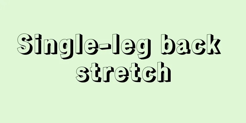 Single-leg back stretch