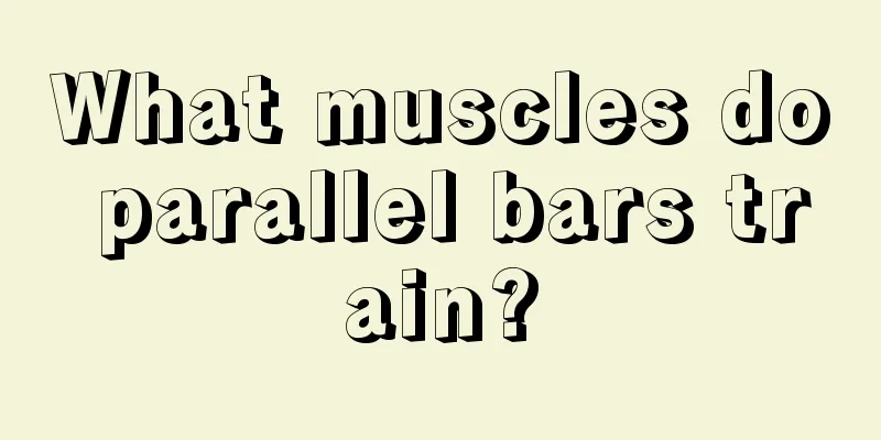 What muscles do parallel bars train?