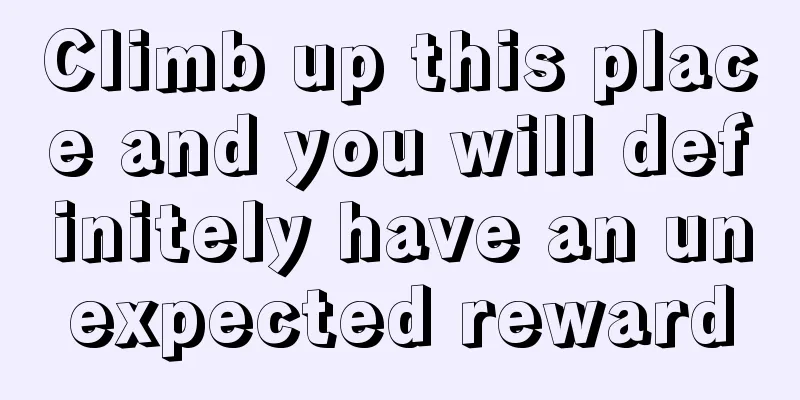 Climb up this place and you will definitely have an unexpected reward