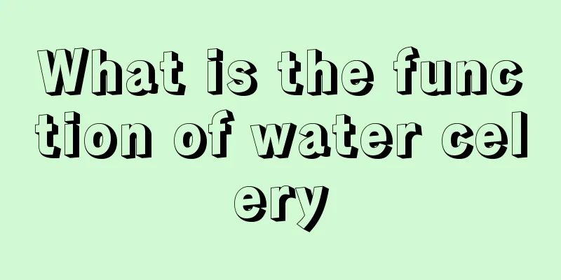 What is the function of water celery