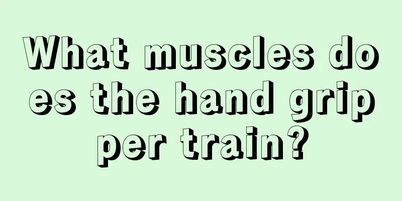 What muscles does the hand gripper train?