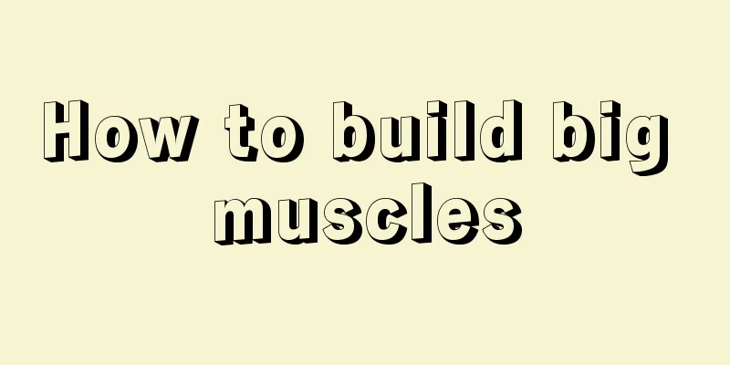 How to build big muscles