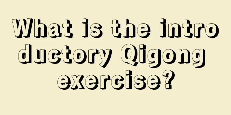 What is the introductory Qigong exercise?