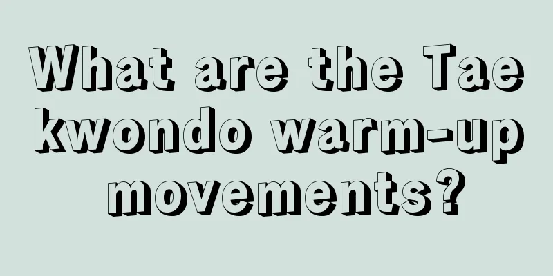 What are the Taekwondo warm-up movements?