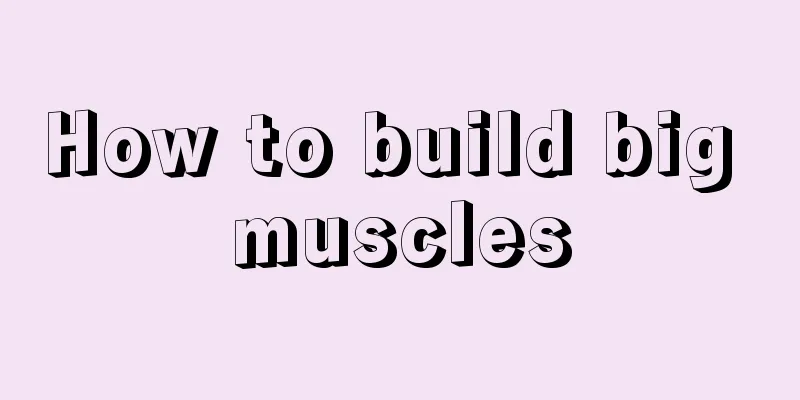 How to build big muscles