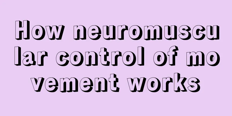 How neuromuscular control of movement works