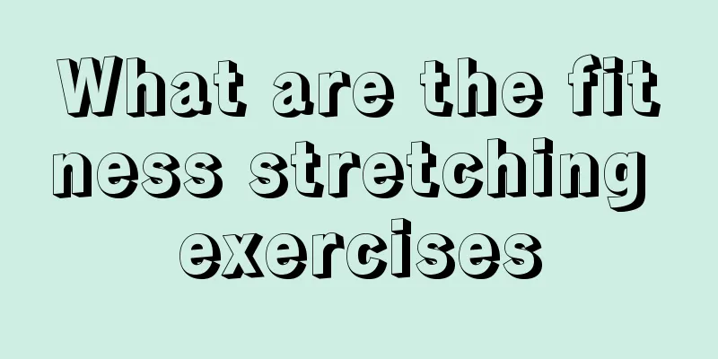 What are the fitness stretching exercises