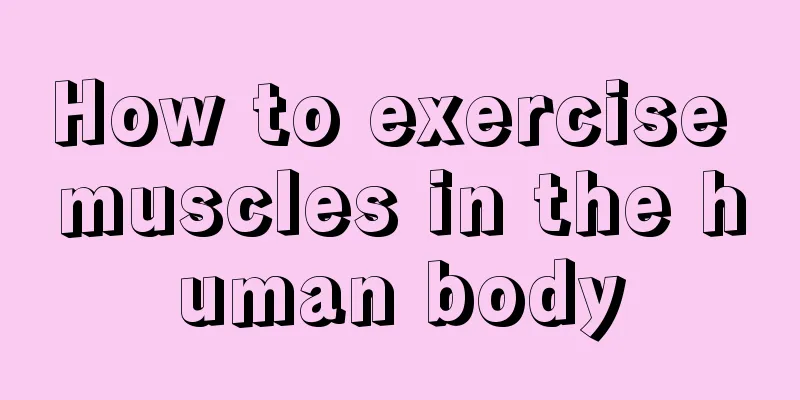 How to exercise muscles in the human body