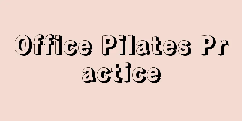 Office Pilates Practice