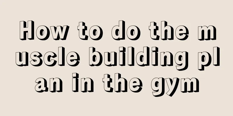 How to do the muscle building plan in the gym