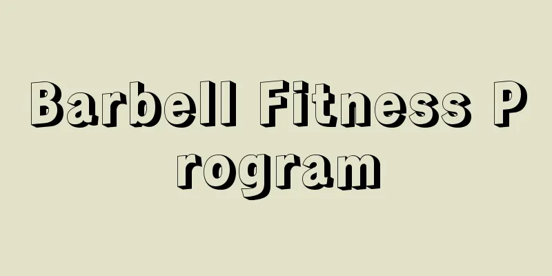 Barbell Fitness Program