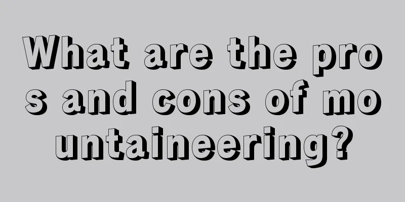 What are the pros and cons of mountaineering?