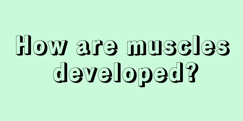 How are muscles developed?