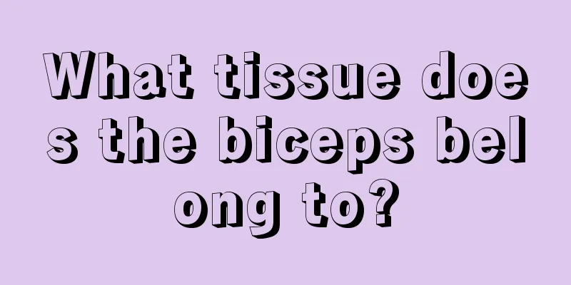 What tissue does the biceps belong to?