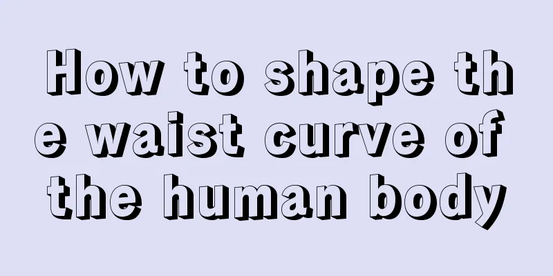 How to shape the waist curve of the human body