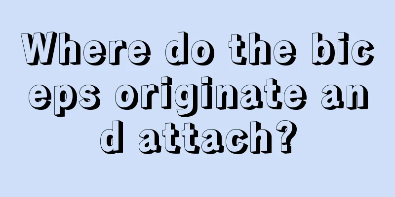 Where do the biceps originate and attach?