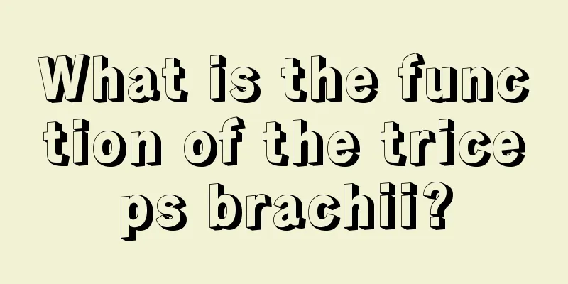 What is the function of the triceps brachii?