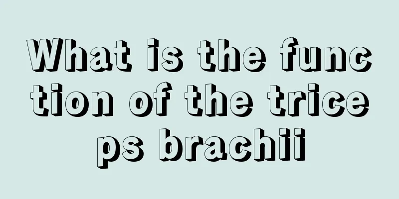 What is the function of the triceps brachii