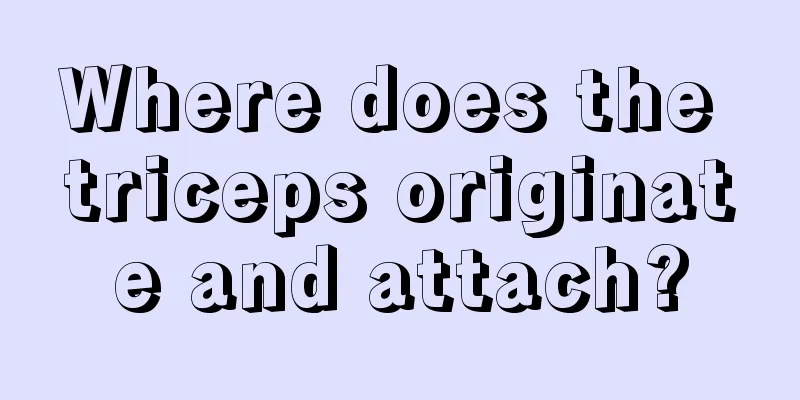 Where does the triceps originate and attach?