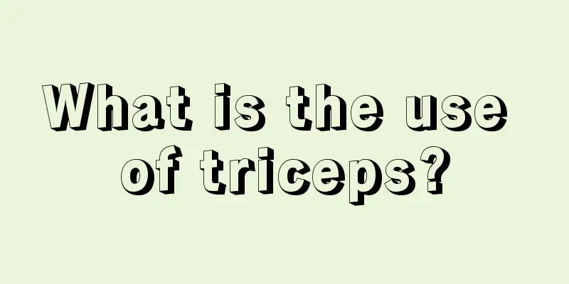 What is the use of triceps?