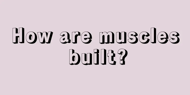 How are muscles built?