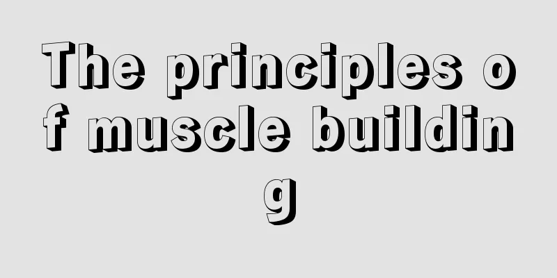 The principles of muscle building