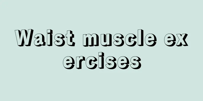 Waist muscle exercises