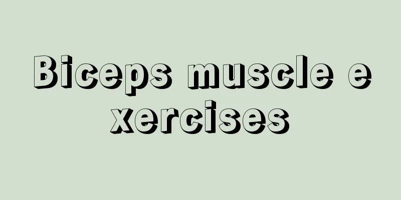 Biceps muscle exercises