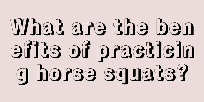 What are the benefits of practicing horse squats?