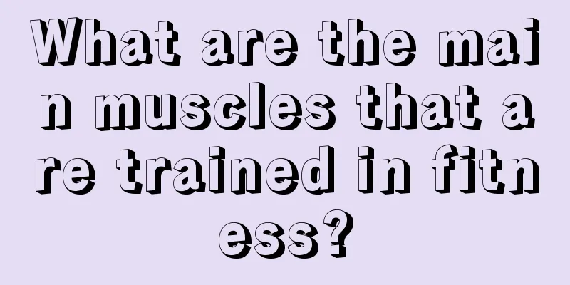 What are the main muscles that are trained in fitness?