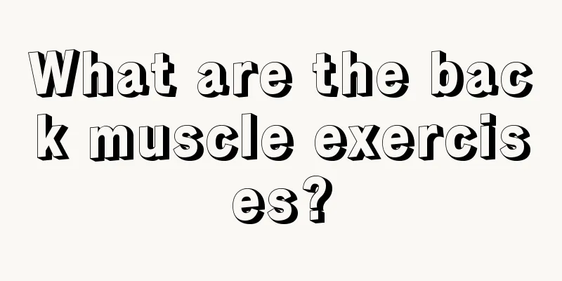 What are the back muscle exercises?