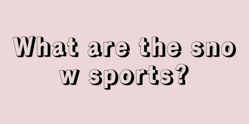 What are the snow sports?